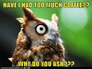 Overcaffeinated Owl Says WHOOOOOOO