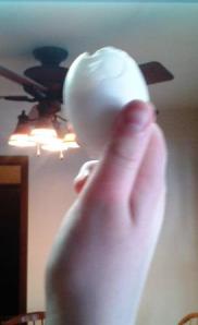 Egg Candling